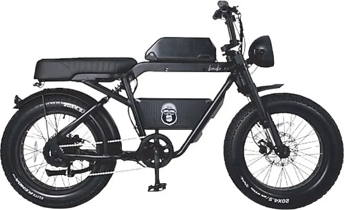 Ape Ryder Bonobo 250 W Siyah İki Kişilik Elektrikli Bisiklet