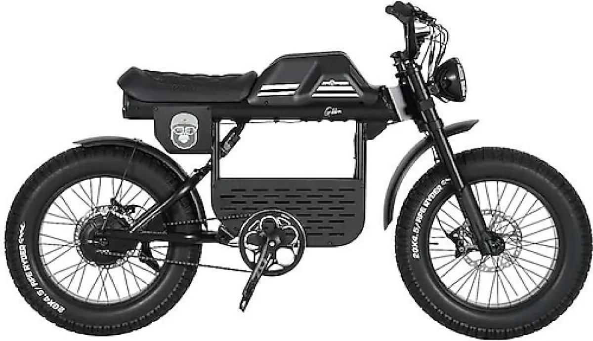Ape Ryder Gibbon 250 W Elektrikli Bisiklet