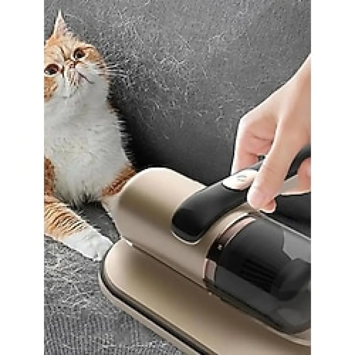 Kablosuz El Süpürgesi, 100W, Uv Işıklı, 16KPA, 250 Ml, 5 Başlık - Ahşap - Bej - Seçenek 1