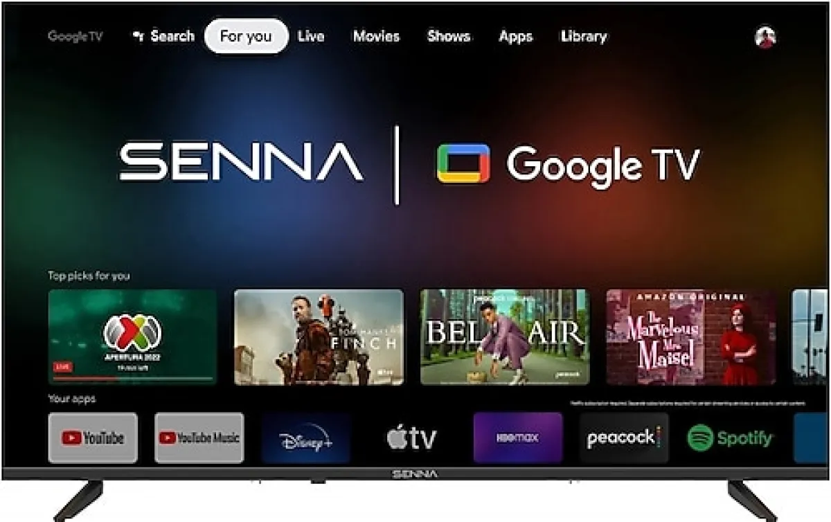 Senna 43GF9500F Full HD 43'' 109 Ekran Uydu Alıcılı Google Smart LED TV