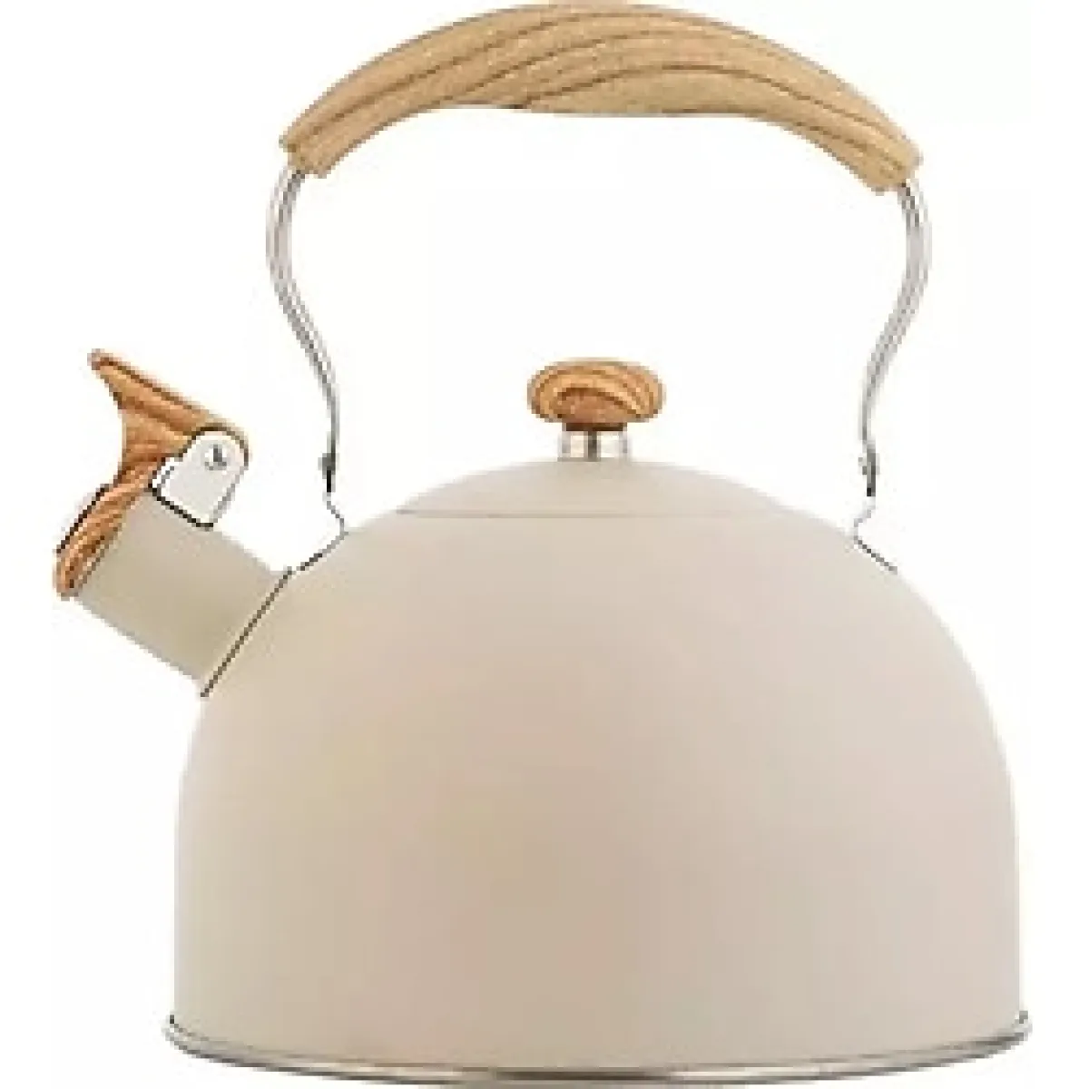 Valkyrie 2.5L Paslanmaz Çelik Düdüklü Su Isıtıcısı Demlik Islıklı Kettle