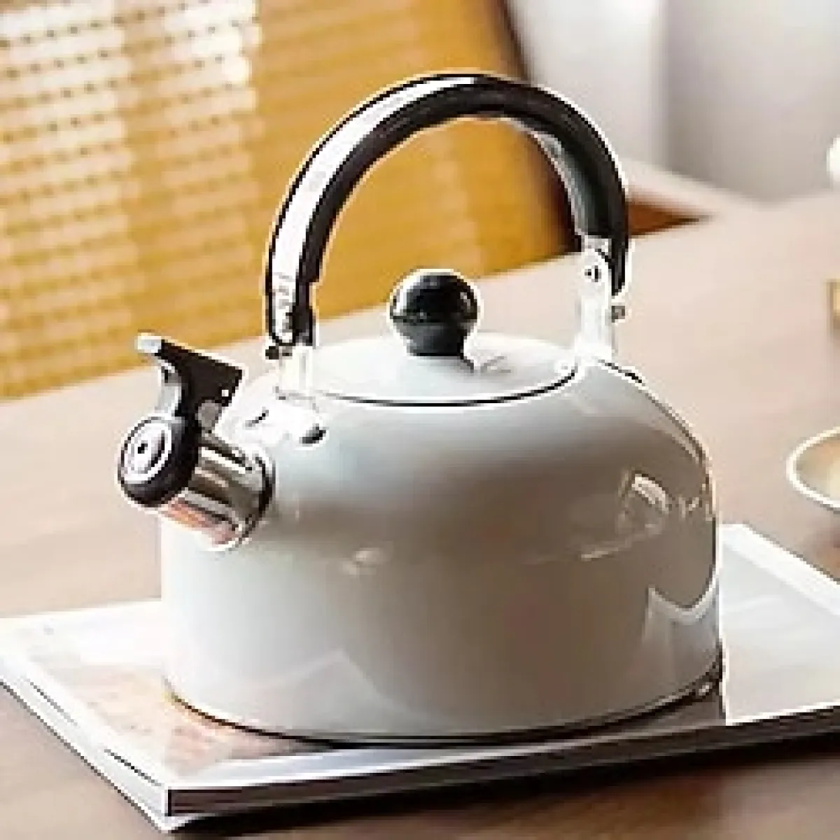 Valkyrie 3L Düdüklü Kettle Su Isıtıcı Çaydanlık Paslanmaz Çelik Yüksek Islıklı Siyah