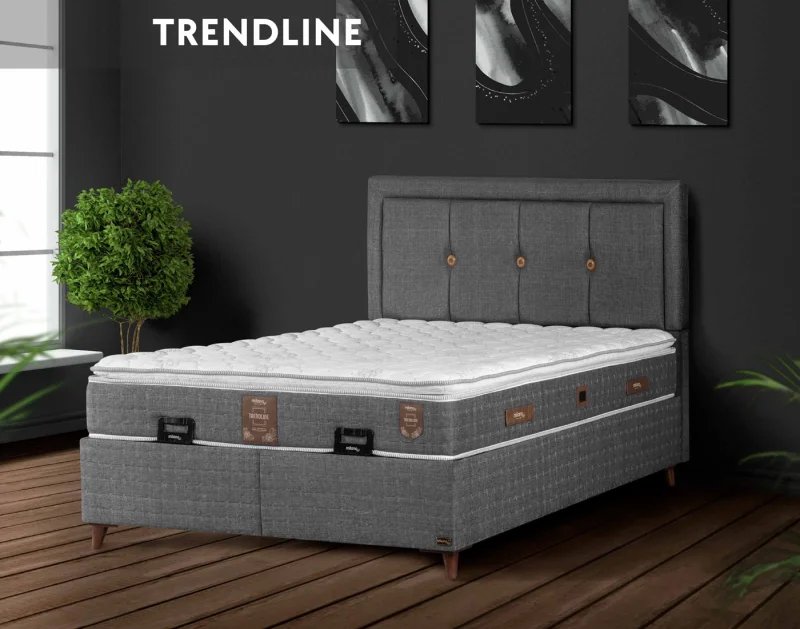 Trend Line Yatak Baza Başlık