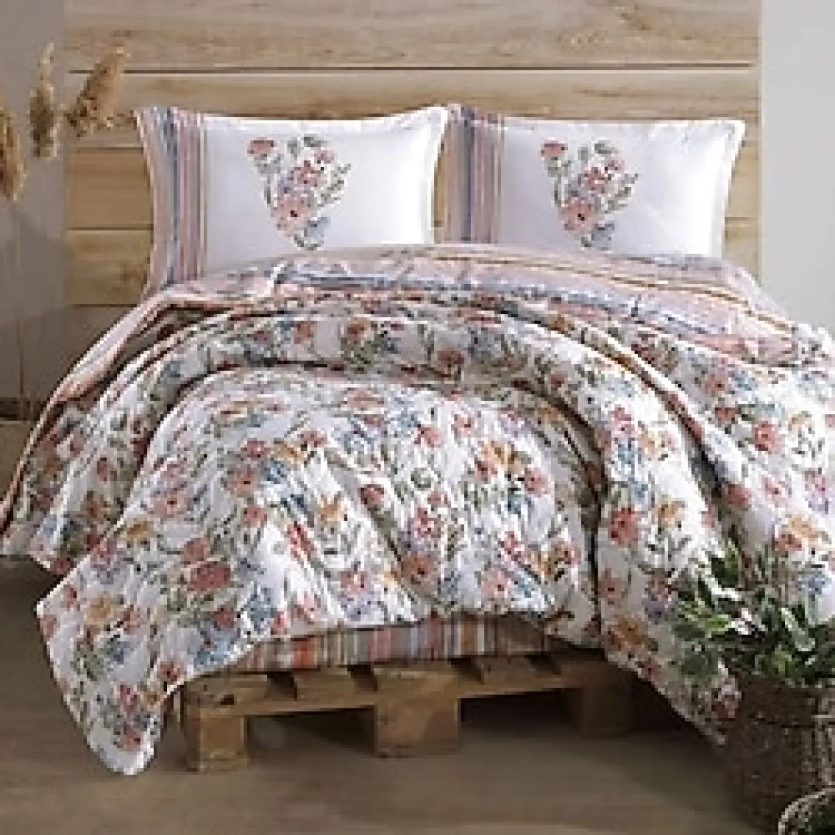 Clasy Ranforce %100 Pamuk Çift Kişilik Dört Mevsim Set Zemi Pudra